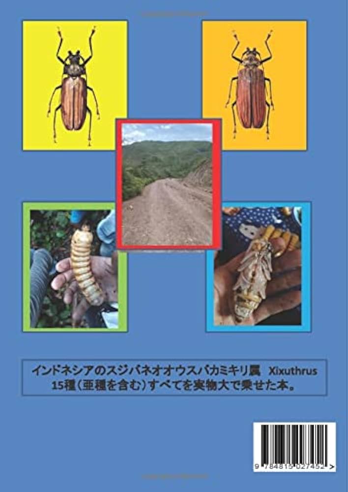 インドネシアのスジバネオオウスバカミキリ: 亜種を含む14種 (MyISBN