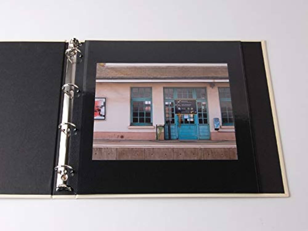 Amazon.co.jp: [デルフォニックス] PDフォトアルバム リフィル粘着L