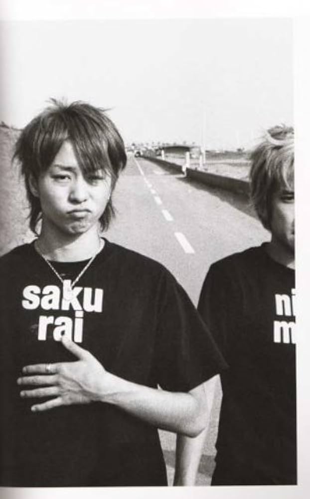 Amazon.co.jp: 写真集 嵐 2002 「04150515 嵐のピカ☆ンチな日々」 : 本