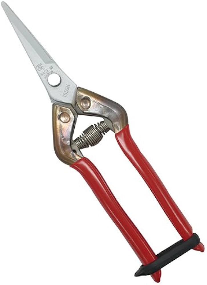 Amazon | チカマサ ステンレス抗菌鋏 T-55SKF | 園芸用はさみ