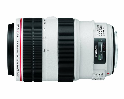 Amazon.com : USED Canon 70-300mm F4-5.6 L IS USM Lens : Camera