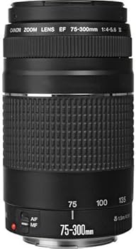 Amazon.com : Canon EF 75-300mm f/4-5.6 III Telephoto Zoom Lens