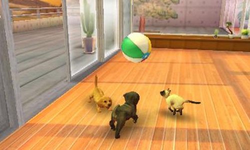 Amazon.co.jp: nintendogs + cats トイ・プードル & Newフレンズ - 3DS