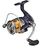 Amazon | ダイワ(DAIWA) 船竿 アナリスター アマダイ 205 釣り竿