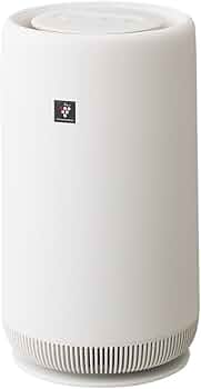 41x-LaXgA+L._AC_UF350,