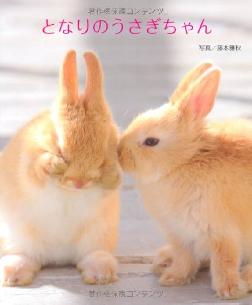 Amazon.co.jp: となりのうさぎちゃん : 藤本 雅秋: 本