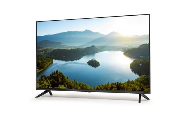 液晶テレビ 40V 2019年製 ティーズネットワーク LE-4032TS テレビ 液晶