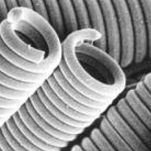 Amazon.co.jp: 電磁波防御 cmcbioペンダント : ファッション