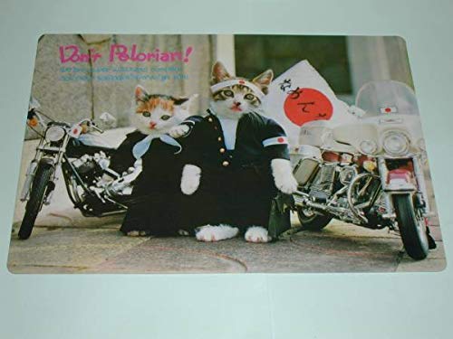 Amazon.co.jp: なめ猫暴走族A下敷き1081A当時物 : 文房具・オフィス用品