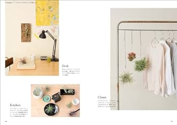 藤川史雄のティランジアブック エアプランツ100種の育て方 | 藤川 史雄