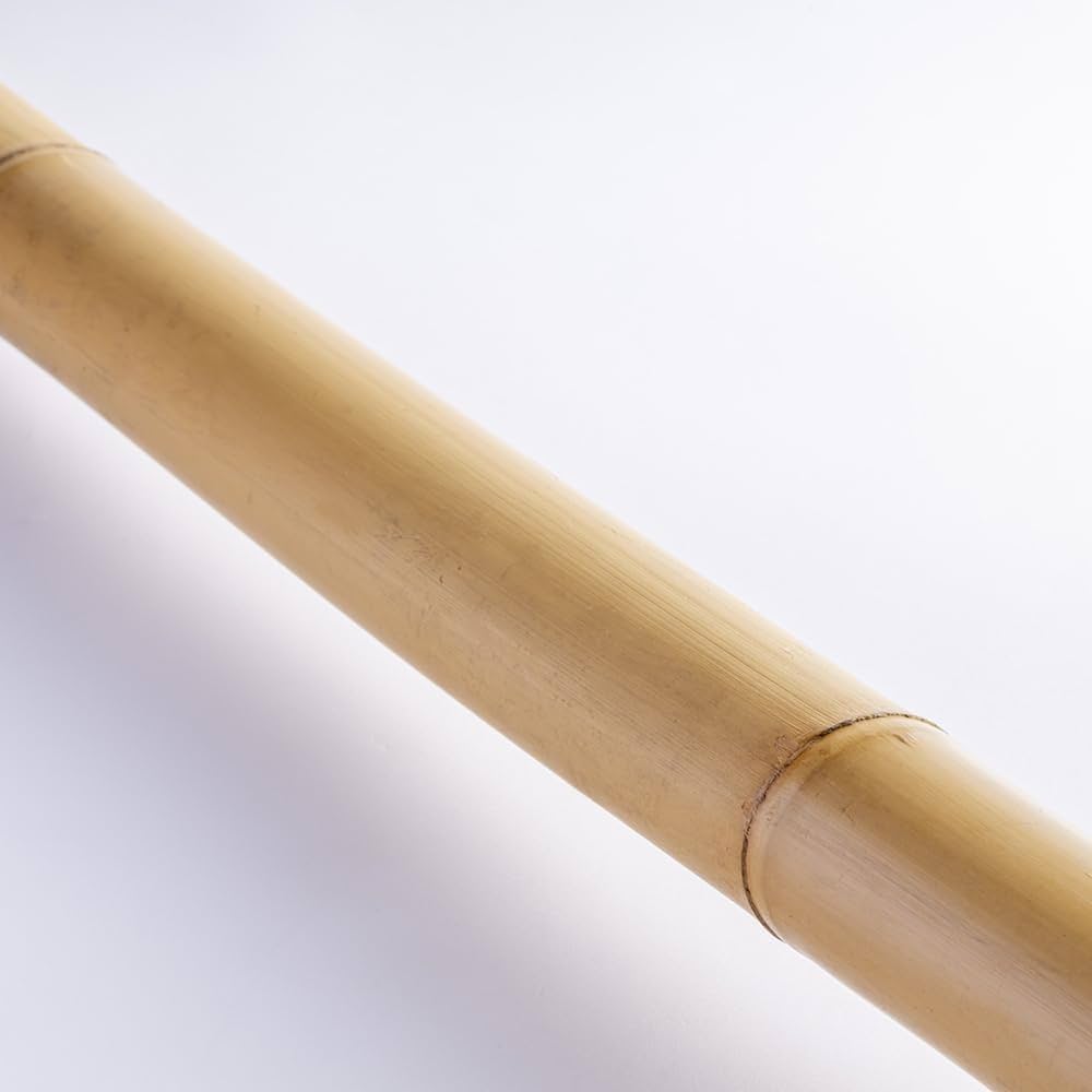 Amazon | トンキンケーン10本束 トンキン竹 トンキンバンブー バンブー