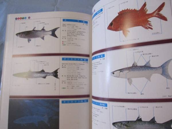 Amazon.co.jp: 沖縄有毒害生物大事典 動物編 沖縄琉球自然生物 : おもちゃ