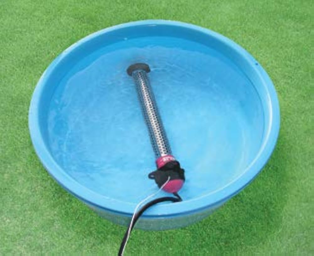 41H8pPAsm1L._AC_UF1000,