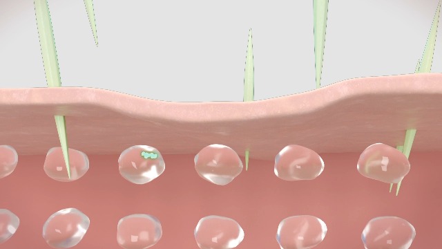 Amazon.co.jp: VTCOSMETICS(ブイティコスメテックス) リードルショット