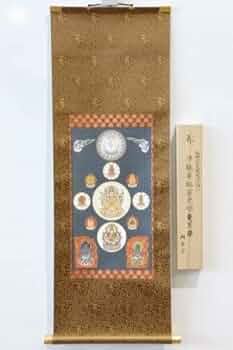 41JIq5MVUGL._AC_UF350,