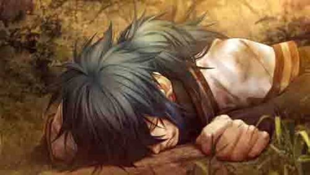 Amazon.co.jp: 薄桜鬼 黎明録 ポータブル (限定版 ドラマCD/特製