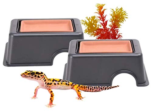 Amazon | heizi ウェットシェルター 爬虫類 シェルター 2個セット