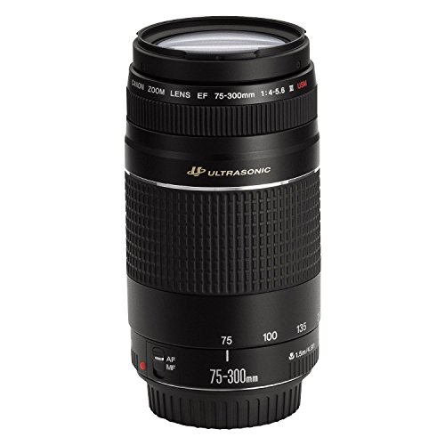 Amazon.com : Canon 75-300mm F4-5.6 III EF Lens (Non-USM) : Camera