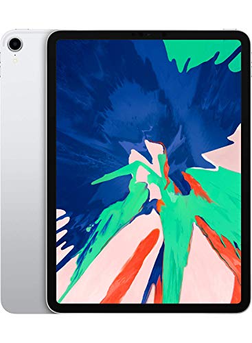 Amazon.co.jp: Apple iPad Pro (11インチ, Wi-Fi, 256GB) - シルバー