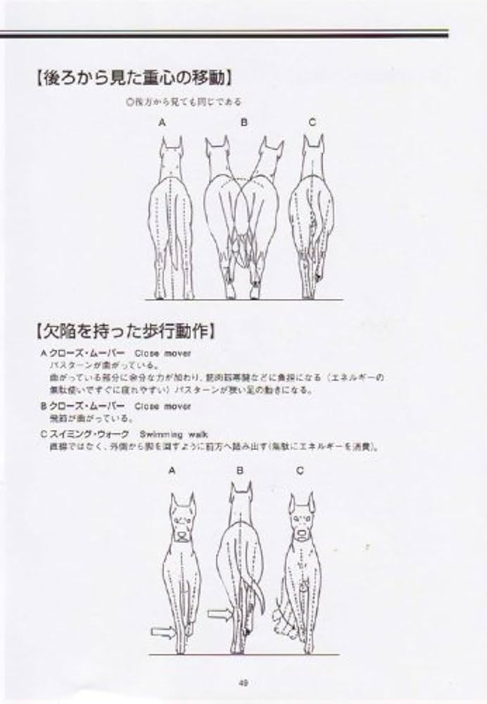 Amazon.co.jp: 新絵でみる犬の構成と歩様 : 村田 祐子, 多賀 正: 本