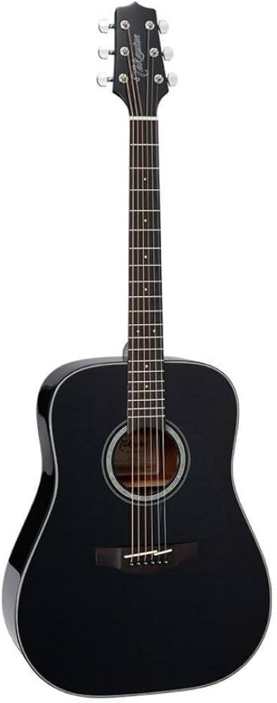 Amazon.co.jp: Takamine タカミネ G Series Dreadnought Solid Top
