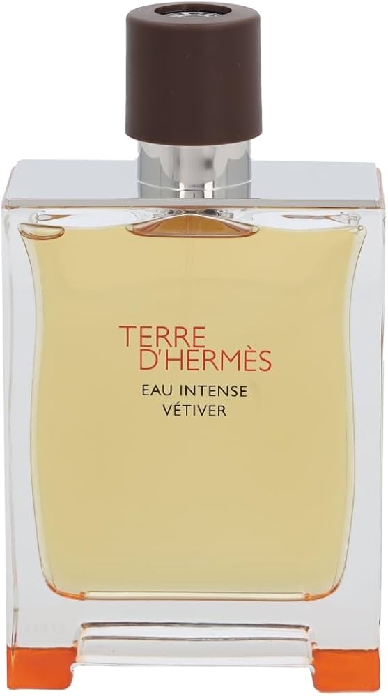 Amazon.com : Terre D'Hermes Eau de Intense Vetiver by Hermes for
