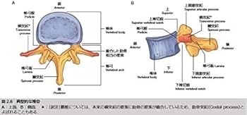 グレイ解剖学 原著第4版 電子書籍付(日本語・英語) | Richard L.Drake