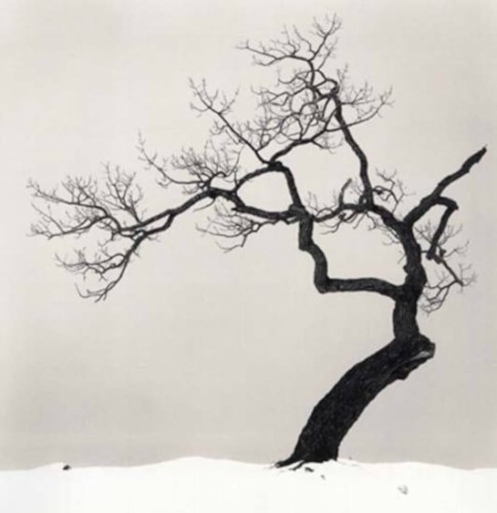 Amazon.co.jp: MICHAEL KENNA「HOKKAIDO」—マイケル・ケンナ写真集
