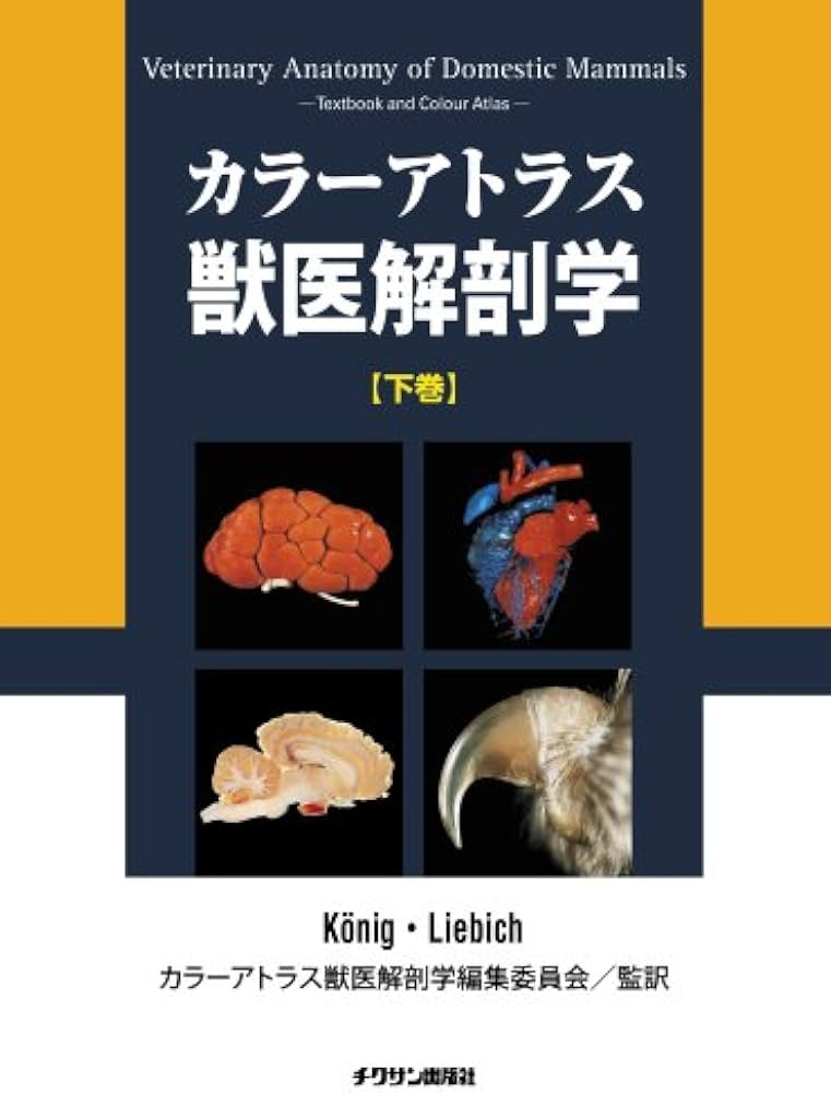 カラ-アトラス獣医解剖学 (下巻) | Horst Erich Konig, Hans Georg