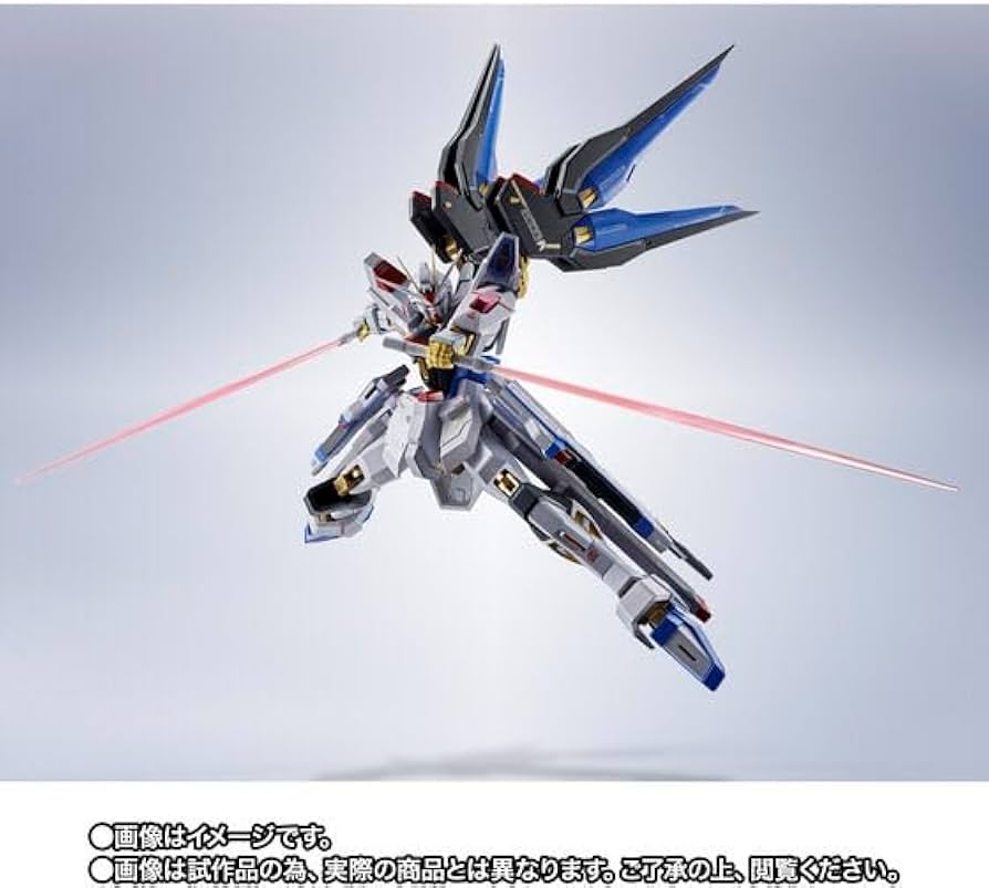 Amazon.co.jp: METAL ROBOT魂 ＜SIDE MS＞ ストライクフリーダムガ
