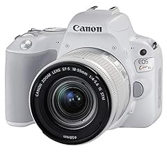 41ULkCBi9QL._SX240_SY220_CR,0,