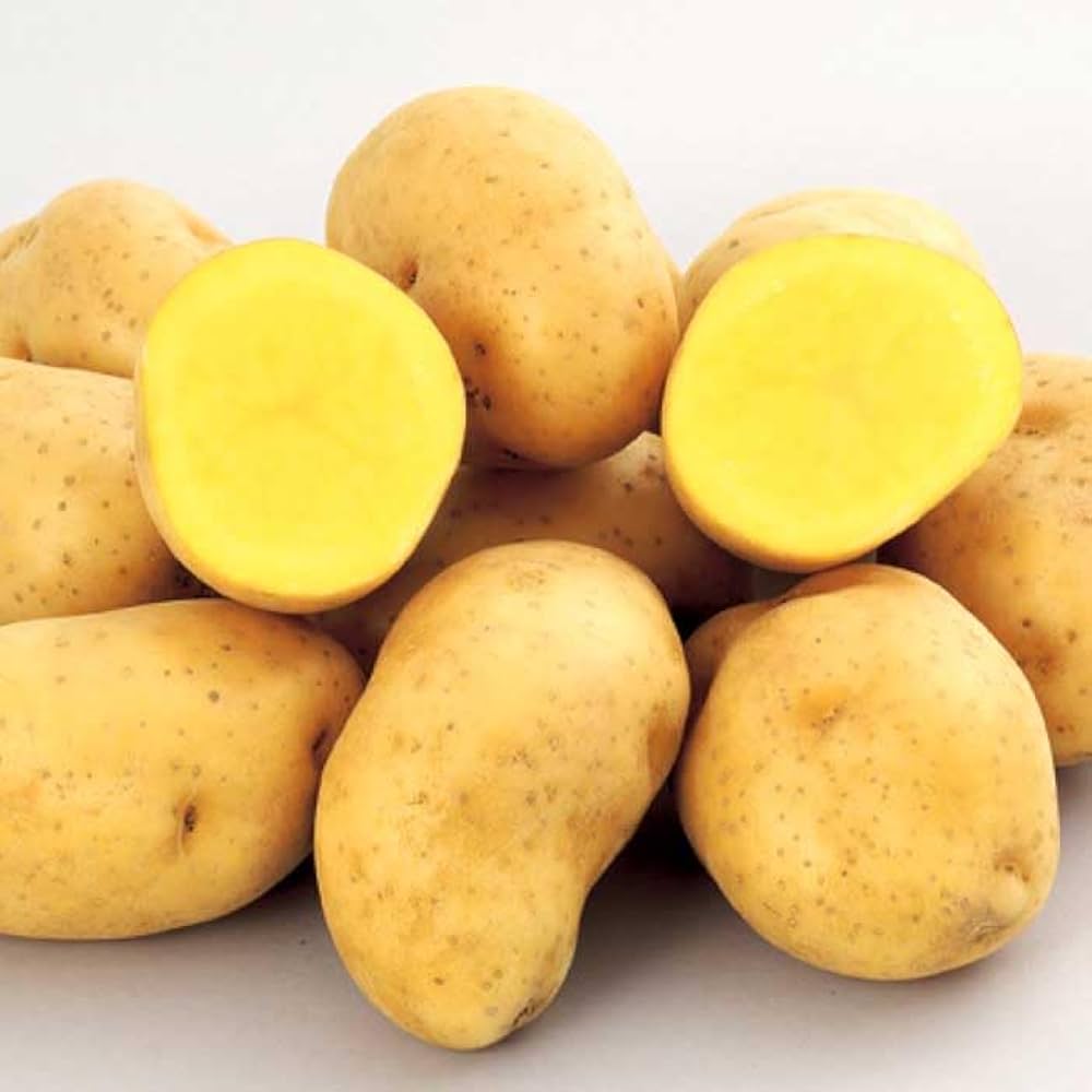 Amazon.co.jp: 種 じゃがいも インカのめざめ 1kg 芋サイズ：2S～M