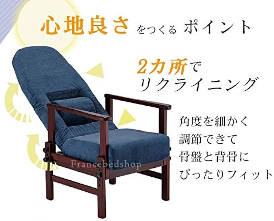 Amazon.co.jp: フランスベッド リハテック 背楽チェア SEC-01・座いす