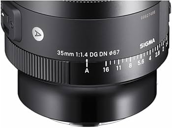 Amazon.com : Sigma 35mm F1.4 DG DN for L Mount : Electronics