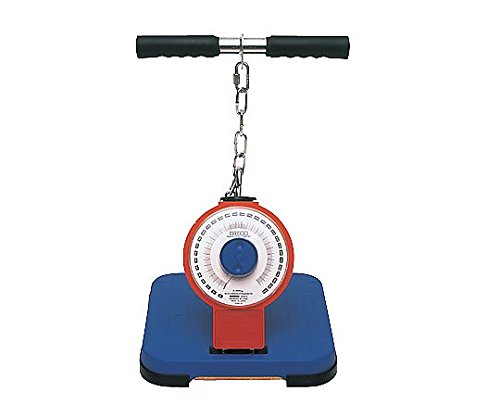 Amazon.co.jp: 竹井機器工業 背筋力計[バックA] TKK5002 : スポーツ