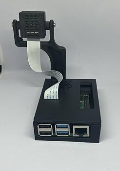 Amazon.in: Buy Black Raspberry Pi 4 (Model B) Protective Case with