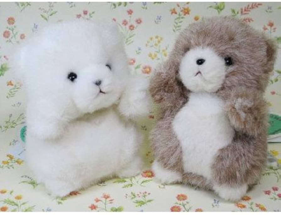 Amazon.co.jp: たけのこ プチプチらんど森のなかま クマ 白 ぬいぐるみ