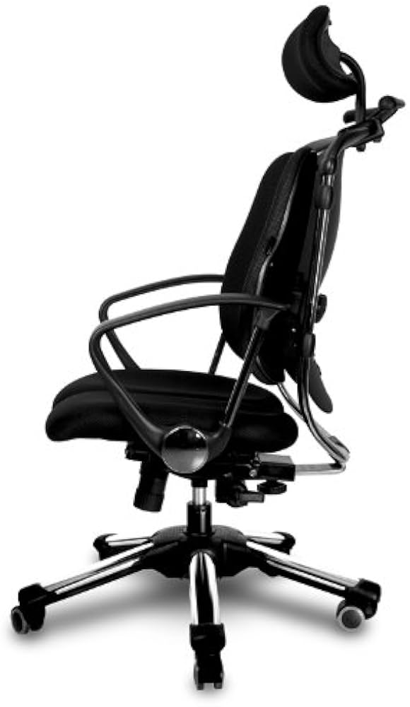 Amazon.co.jp: Hara Chair ハラチェア ニーチェ 《標準モデル