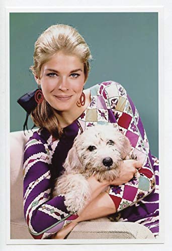 Amazon.co.jp: 映画女優 キャンディス・バーゲン 写真/フォト(小