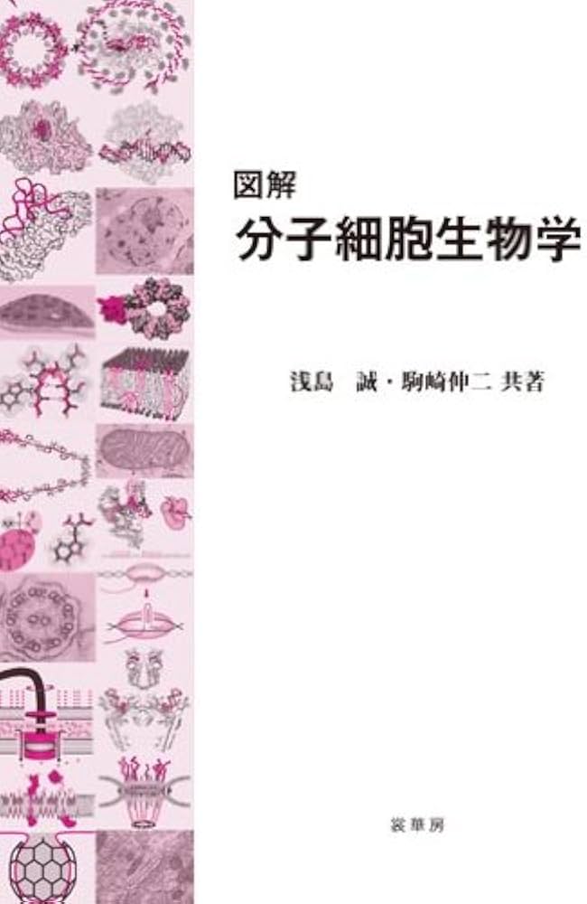 図解 分子細胞生物学 | 浅島 誠, 駒崎 伸二 |本 | 通販 | Amazon