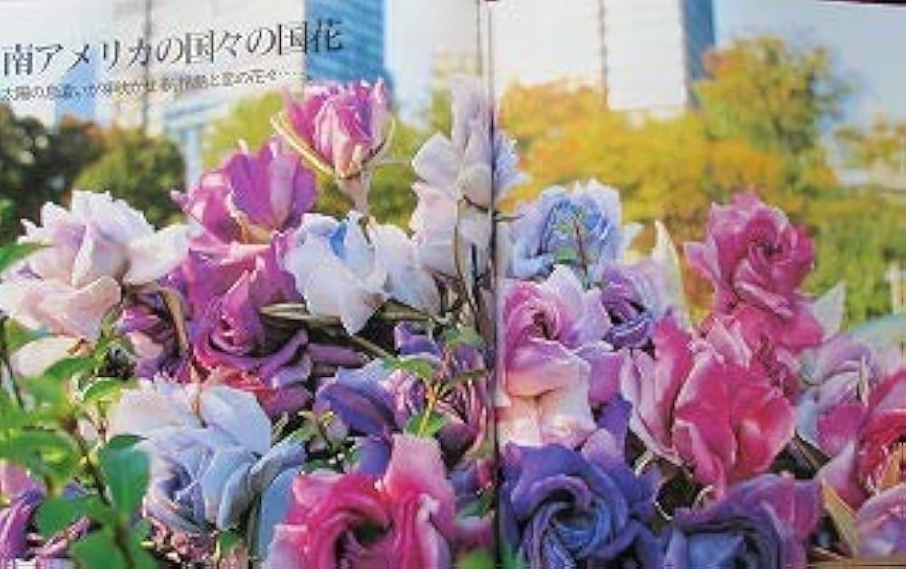 Amazon.co.jp: そめ花 世界の国花 : 安田 早葉子: 本