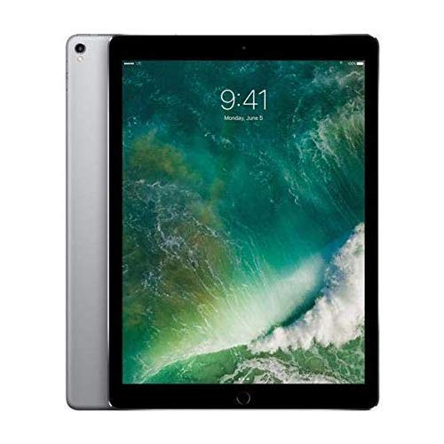 Amazon.com : Apple iPad Pro 12.9 Tablet 256GB Storage, WiFi +