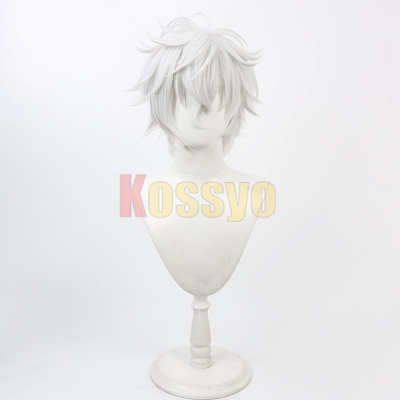 Amazon.co.jp: コスプレウィッグ 叢雲カゲツ 耐熱 文化祭 小物