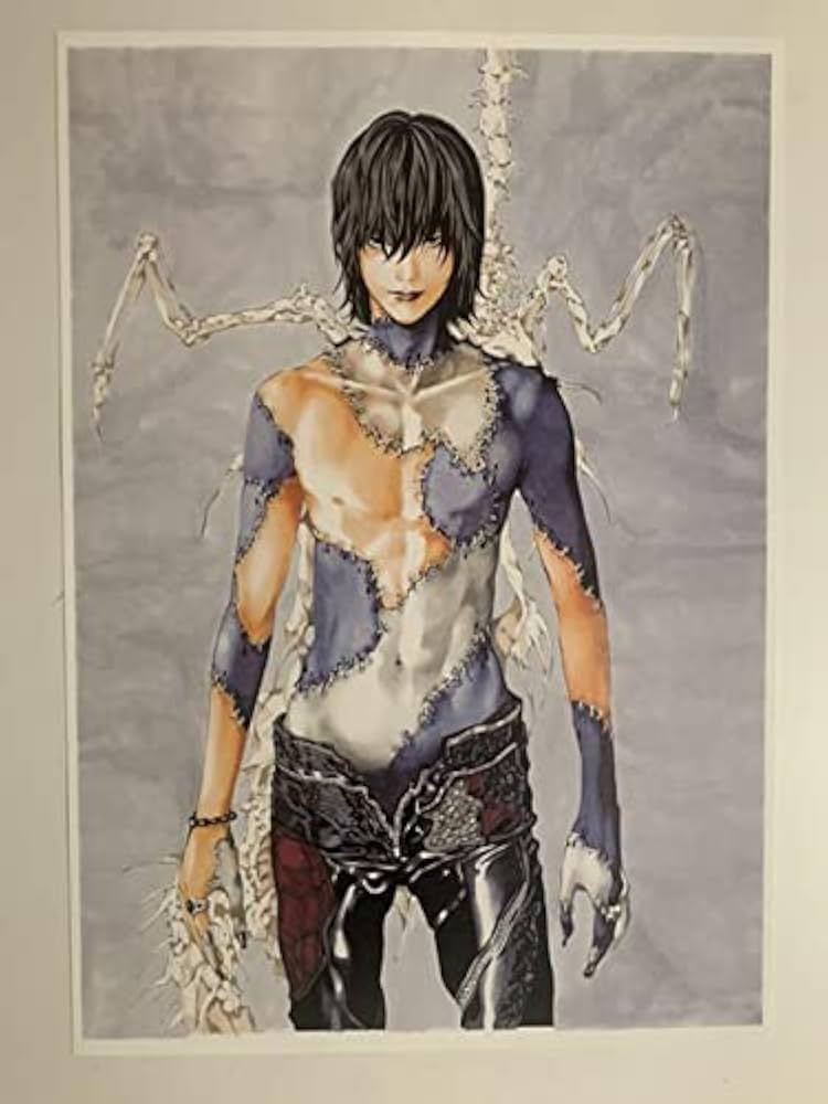 Amazon.co.jp: デスノート 小畑健画集限定版 カラー 複製原画 : おもちゃ