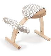 Amazon.co.jp: バランスラボ バランスイージー 通常フレーム 通常箱