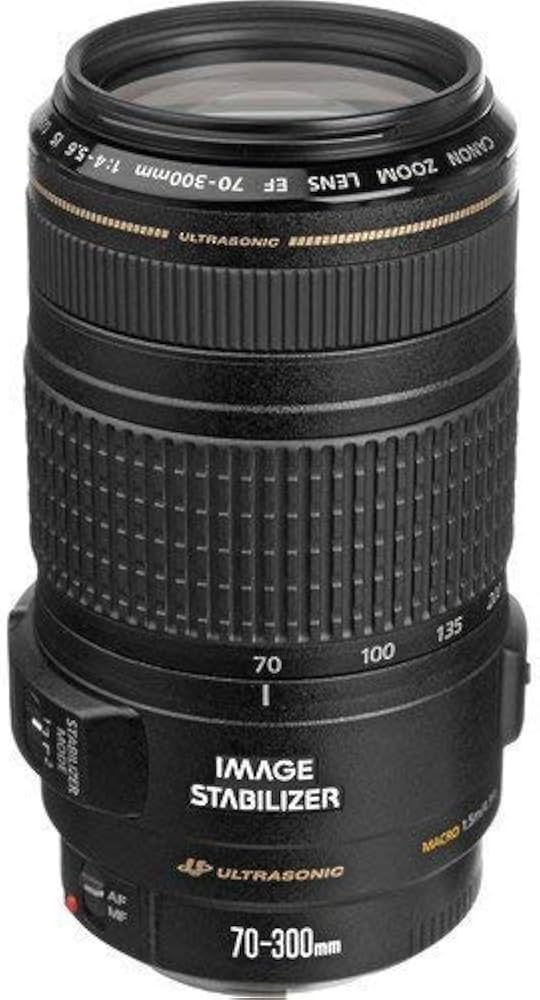 Amazon.com : Canon EF 70-300mm f/4-5.6 is USM Lens for Canon EOS
