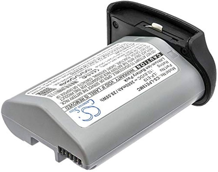 Amazon.com: Estry 2600mAh Battery Replacement for X Mark II 1DX 1D