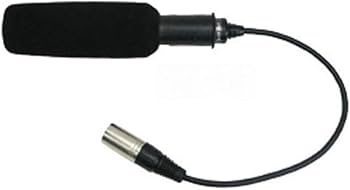 Amazon.com: Sony Microphone ECM-XM1, 154274912, XLR : Musical