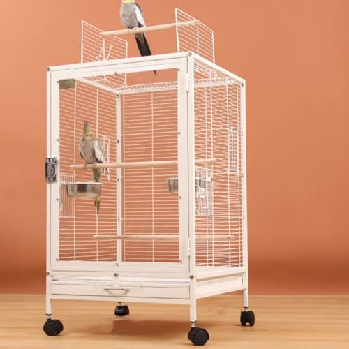 鳥かご 透明 バードケージ」の人気商品一覧 | 安い商品を通販サイト