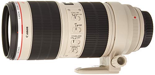 Amazon.com : Canon EF 70-200mm f/2.8L is II USM Telephoto Zoom